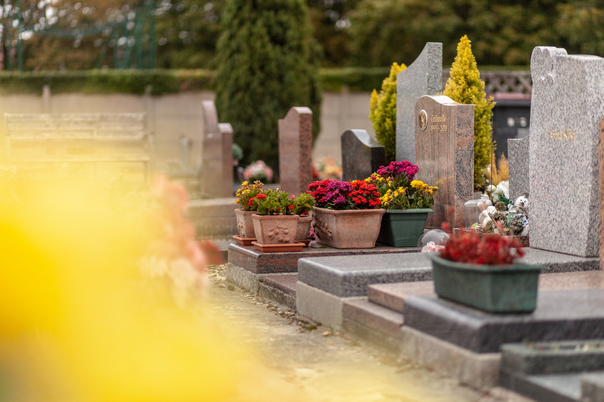 Cimetière - 7556