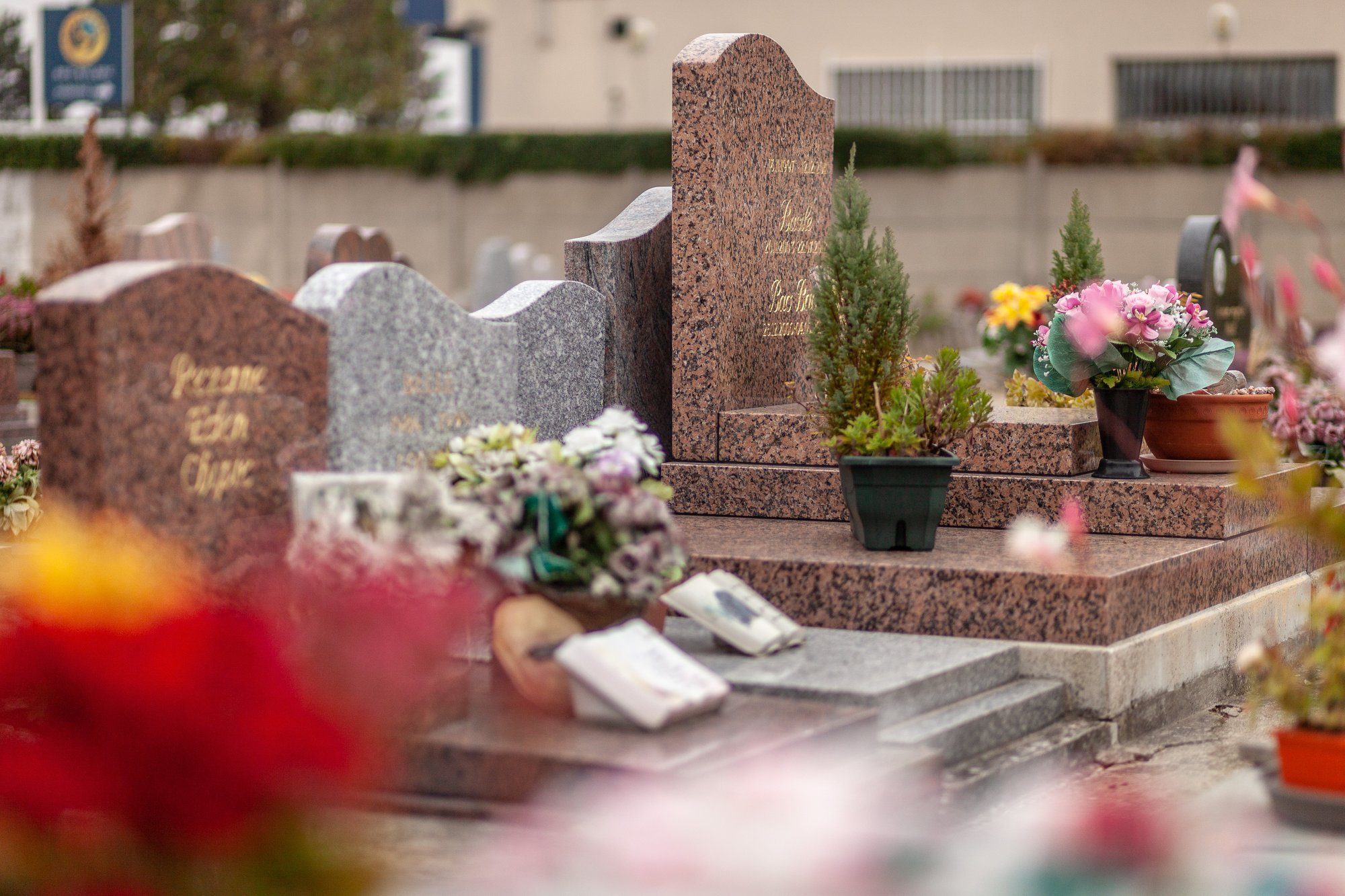 Cimetière - 7557