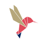 Colibri couleur copie