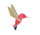 Colibri couleur copie