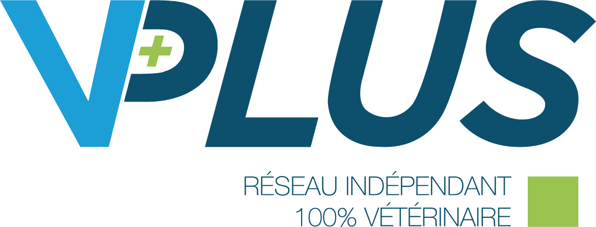 LOGO vplus