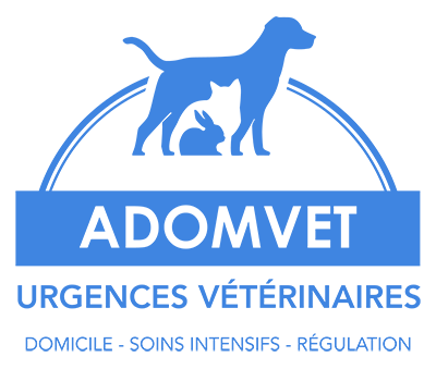 logo adomvet